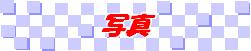 �ʐ^���S